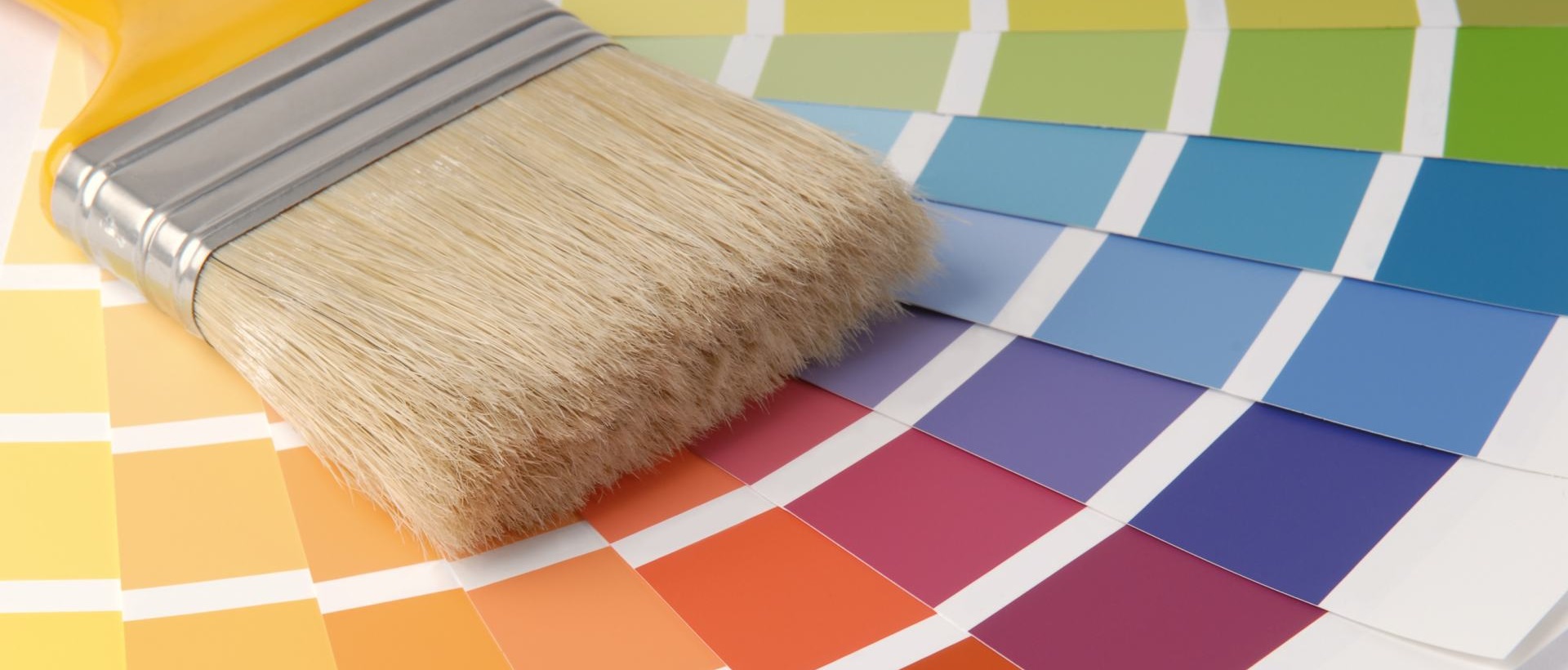 Painter SE2